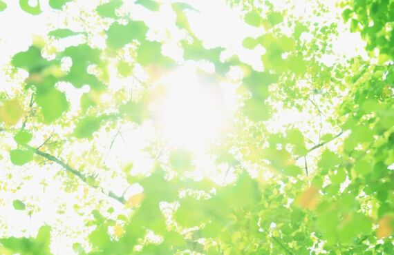 岐阜の水回り修理、リフォームでお困りの方